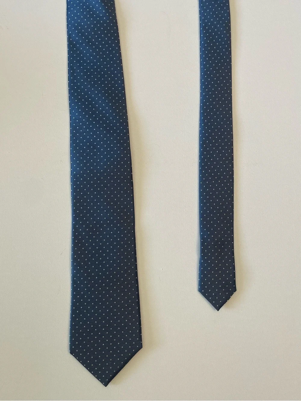 The Tie Bar 100% Silk Blue/White Polka Dot Tie (3 in x 61 in)
